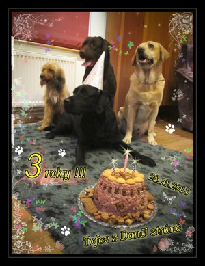 Oslava narozenin Tofinky